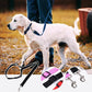 🐶🚗🔥 50% RABATT! Auto-Hundeleine – einstellbar, sicher & perfekt für jede Fahrt ✨