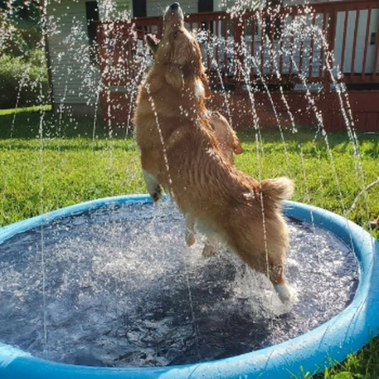 🏊 50% RABATT! 🔥 Faltbarer Außenpool & Wassersprühmatte – Kinderfreundlich & schnell aufgebaut – Perfekt für heiße Sommertage im Garten – rutschfestes Material, einfache Reinigung 🌊