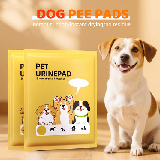 🐾 KAUF 2, ERHALTE 1 GRATIS! 🎉 Ultra-saugfähige Hundeunterlagen – Auslaufsicher & schnelltrocknend – Ideal für das Training, ältere Hunde oder Reisen 🐶✨🌿
