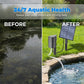 ❄️ Sommerfrische 50 % Rabatt!🐟Solar-Teichbelüfter mit Luftpumpe – Sauerstoffpumpe mit Solarenergie für gesunden Teich, Fische & Wasserpflanzen